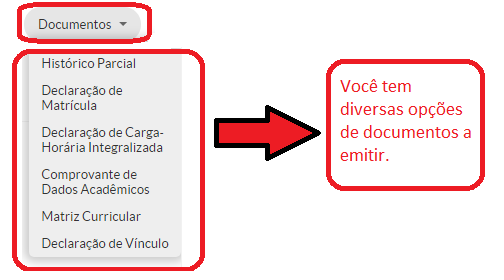 Emitir_ou_VIsualizar_Documentos_03.png